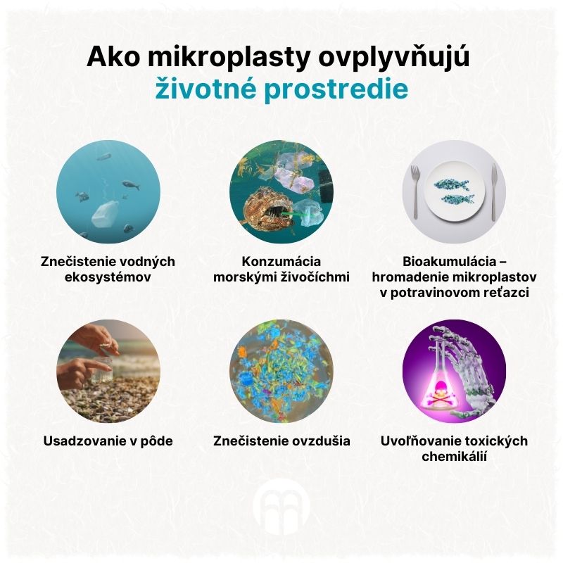 (Slovenčina) Jak mikroplasty ovlivňují životní prostředí